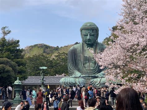  Il Buddha seduto: Un inno alla contemplazione e all'equilibrio interiore?